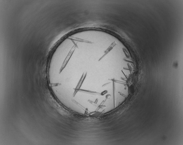 X0000116571216200912311946