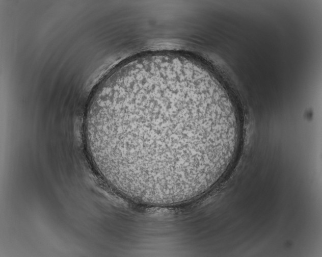 X0000116571217200912311946