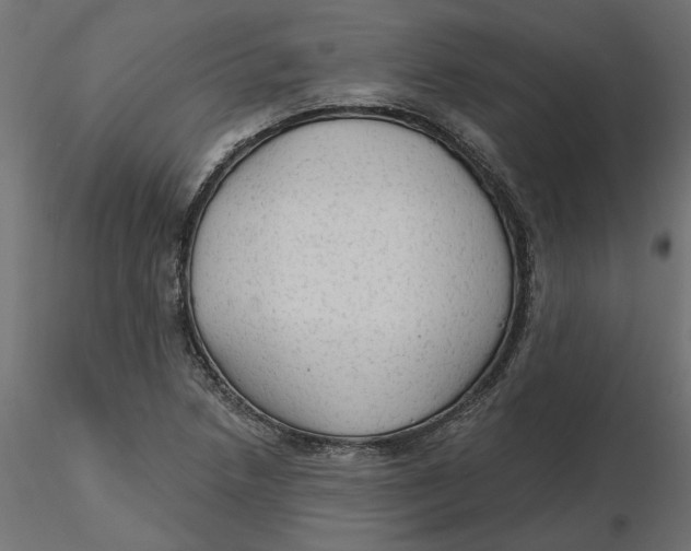 X0000116571218200912311946