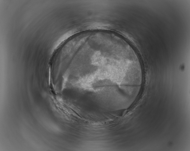 X0000116571219200912311946