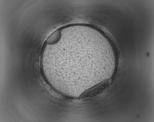 X0000116571220200912311946