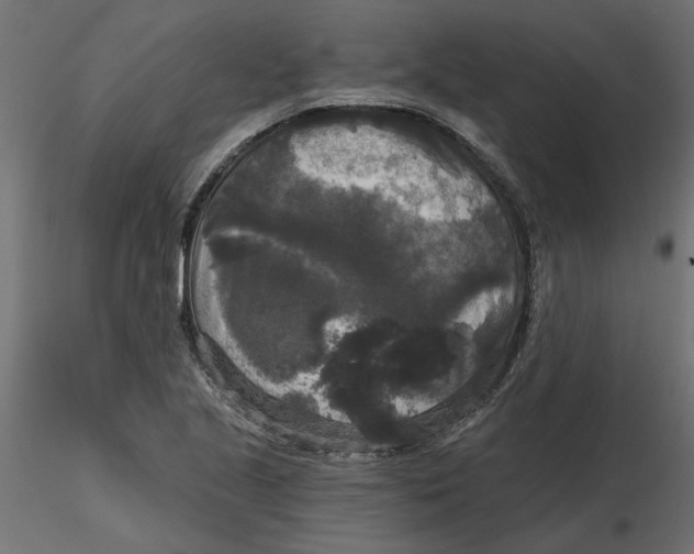 X0000116571221200912311946