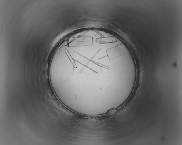 X0000116571222200912311946