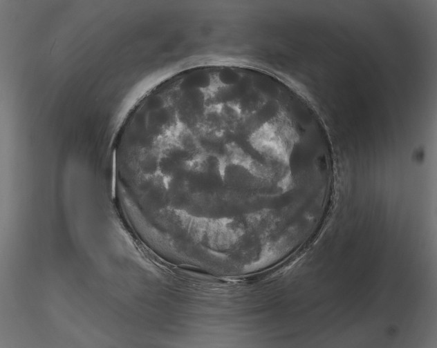 X0000116571223200912311946