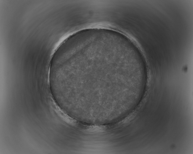 X0000116571224200912311946