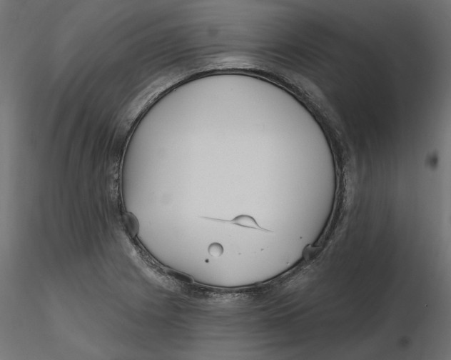 X0000116571225200912311946