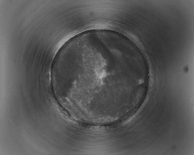 X0000116571226200912311946