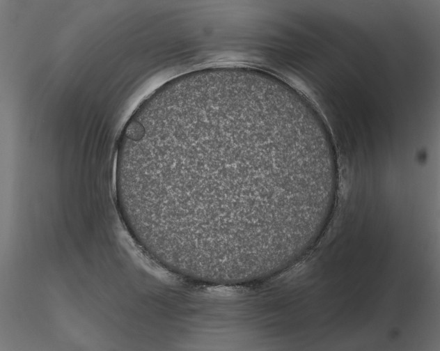 X0000116571227200912311946