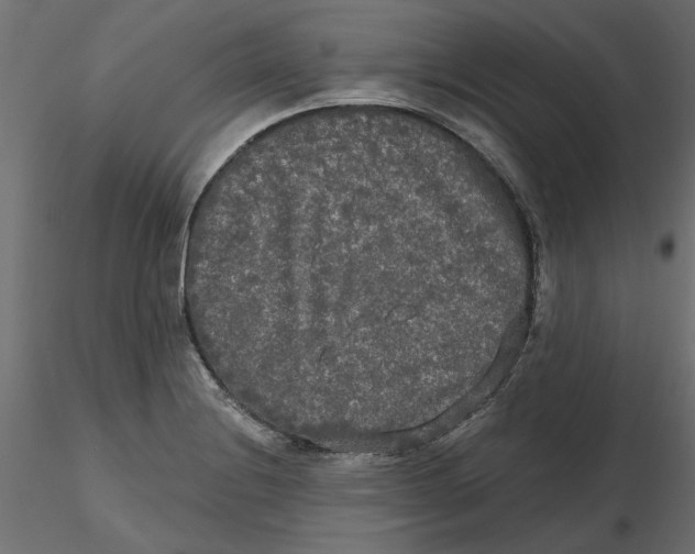 X0000116571228200912311946