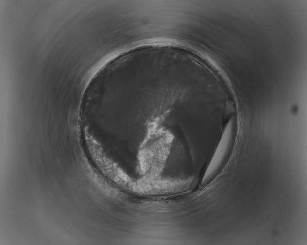 X0000116571229200912311946