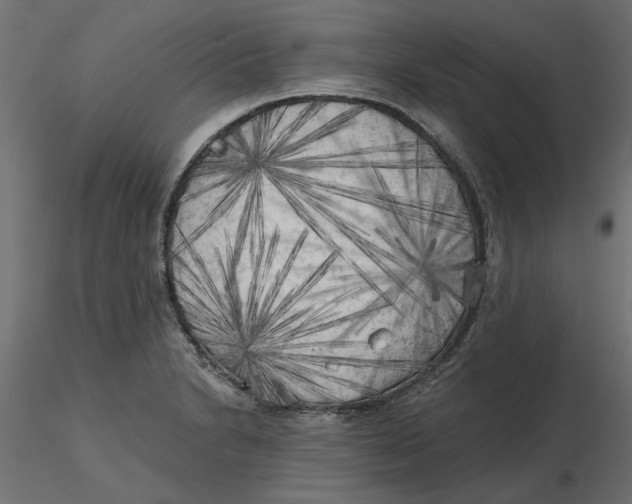 X0000116571230200912311946