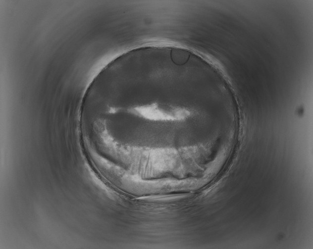 X0000116571231200912311946