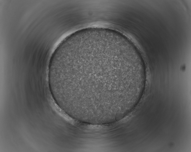 X0000116571232200912311946