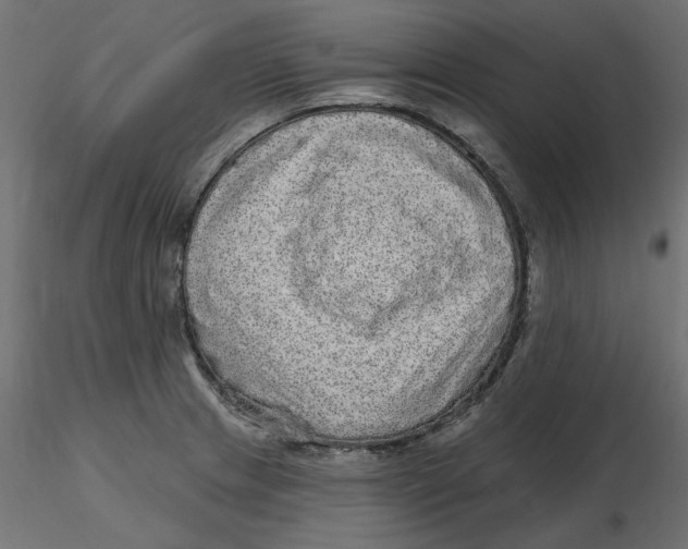 X0000116571233200912311946