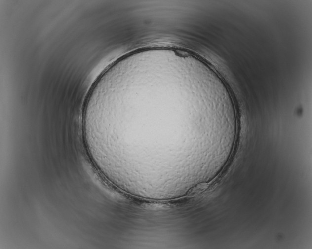 X0000116571234200912311947