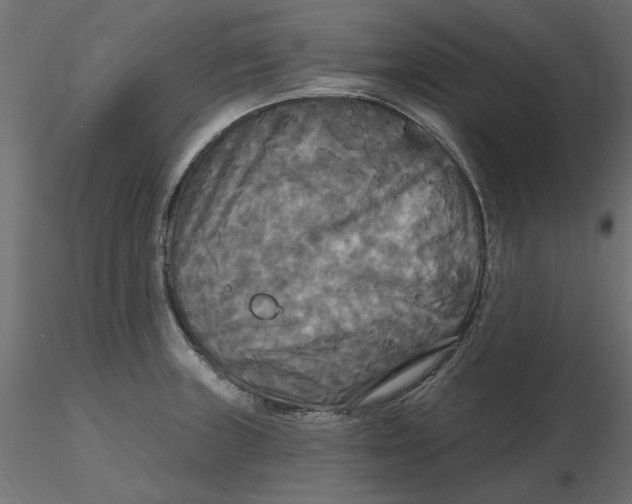 X0000116571235200912311947