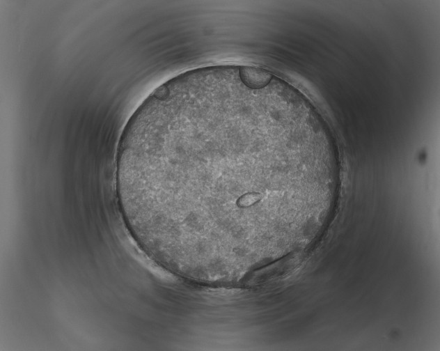 X0000116571236200912311947