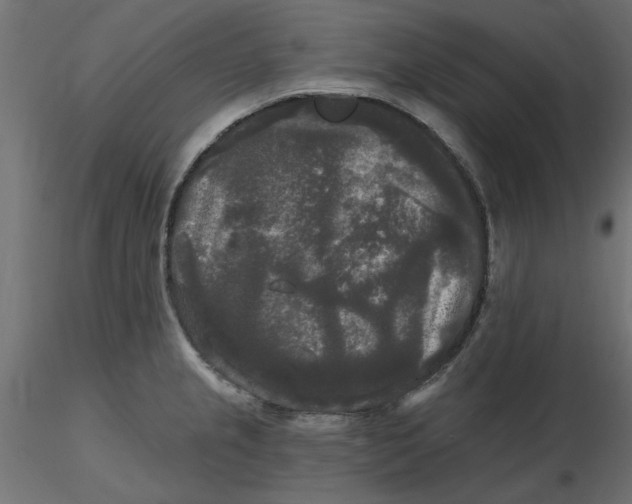 X0000116571237200912311947