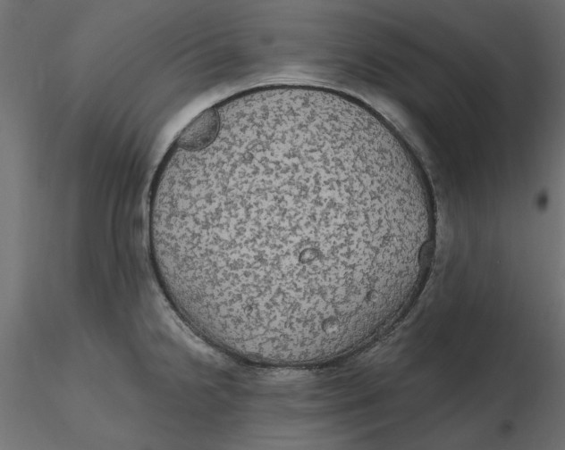 X0000116571238200912311947