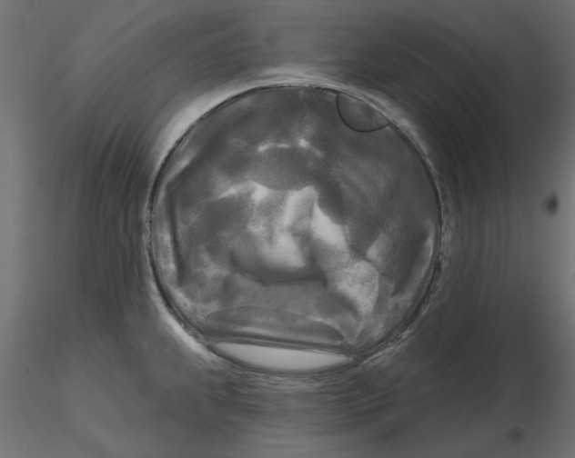 X0000116571239200912311947