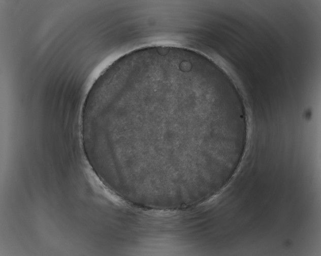 X0000116571240200912311947