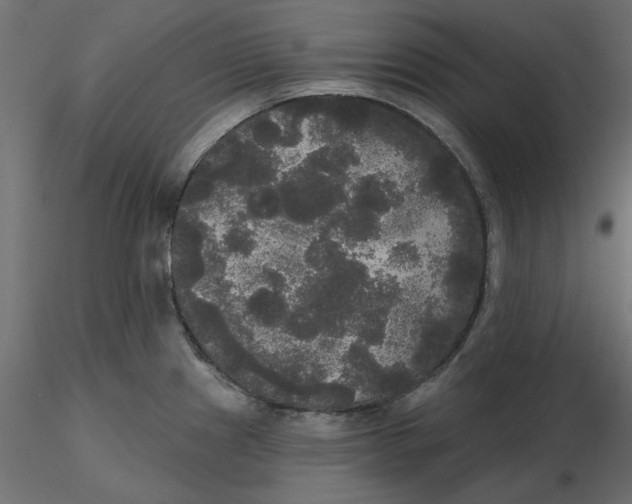 X0000116571241200912311947