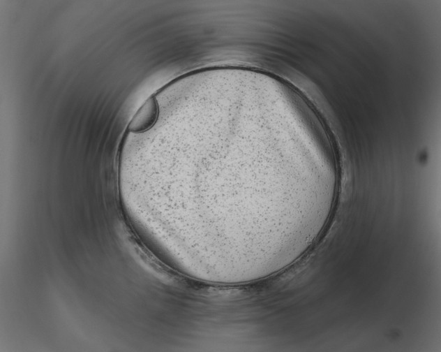 X0000116571242200912311947