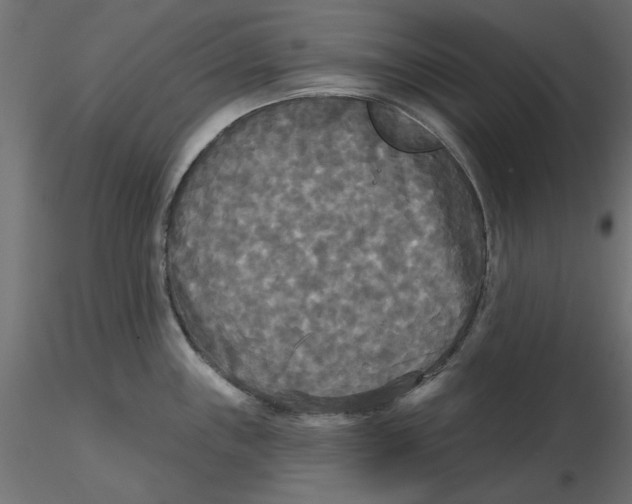 X0000116571243200912311947