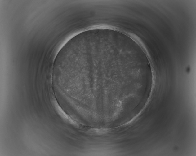 X0000116571244200912311947