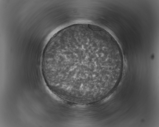 X0000116571245200912311947