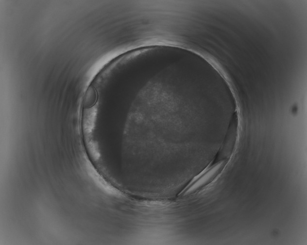 X0000116571246200912311947