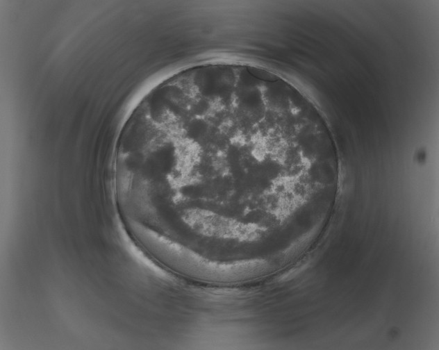 X0000116571247200912311947