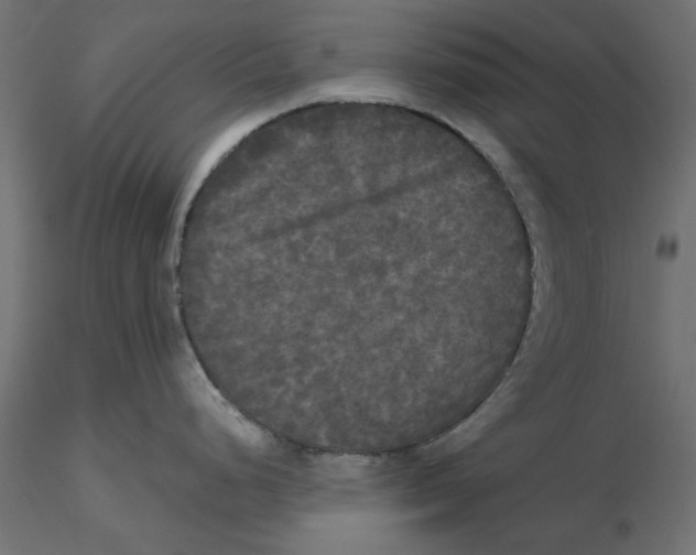 X0000116571248200912311947