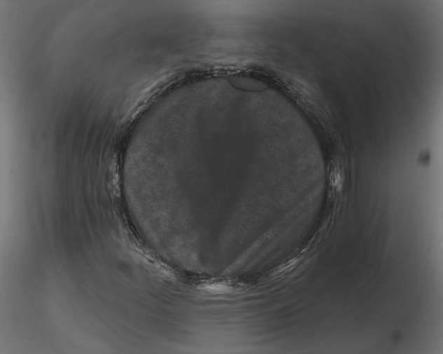 X0000116571252200912311946