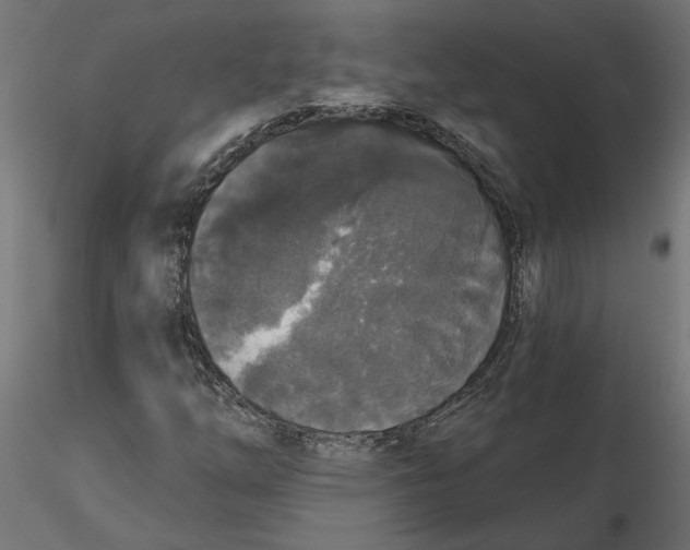 X0000116571254200912311946