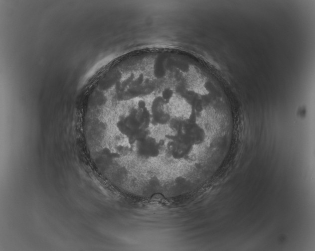 X0000116571255200912311946