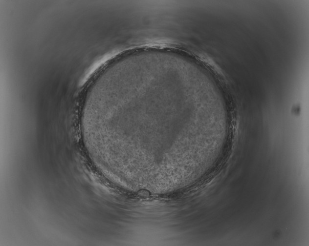 X0000116571256200912311946