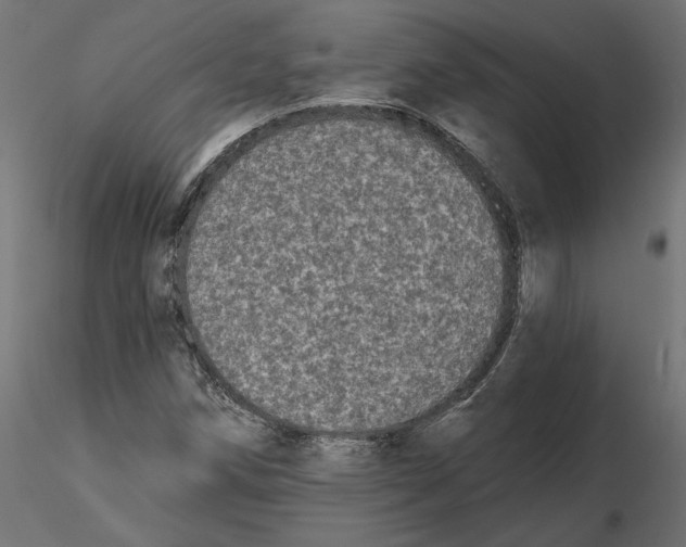 X0000116571258200912311946