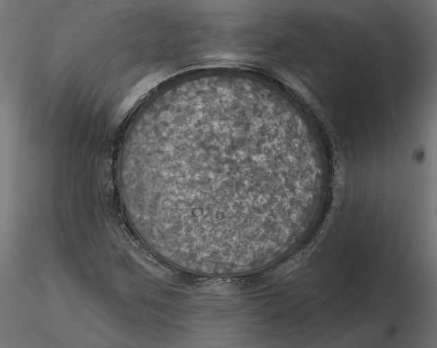 X0000116571259200912311946