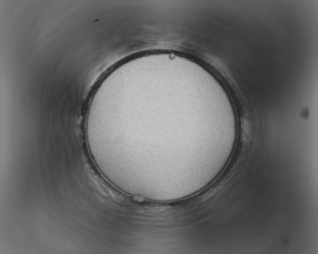 X0000116571260200912311946