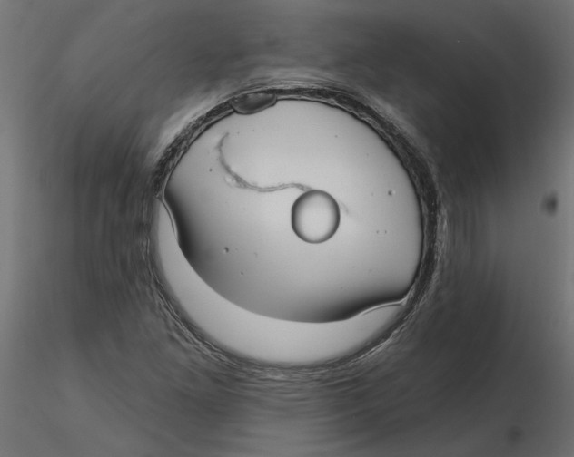 X0000116571261200912311946