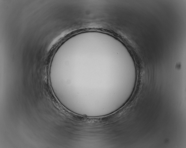 X0000116571262200912311946