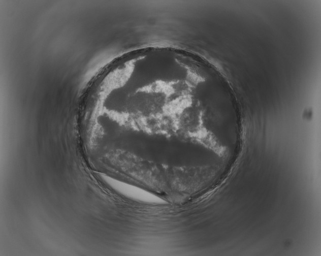 X0000116571263200912311946