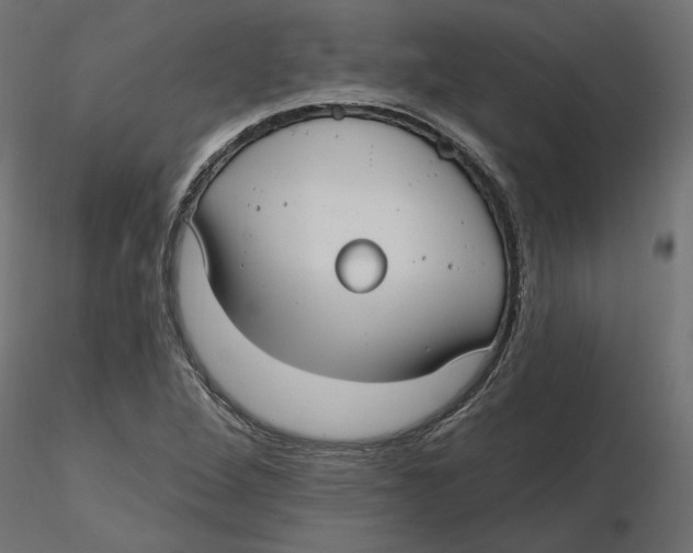 X0000116571264200912311946