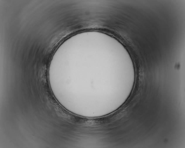 X0000116571265200912311946