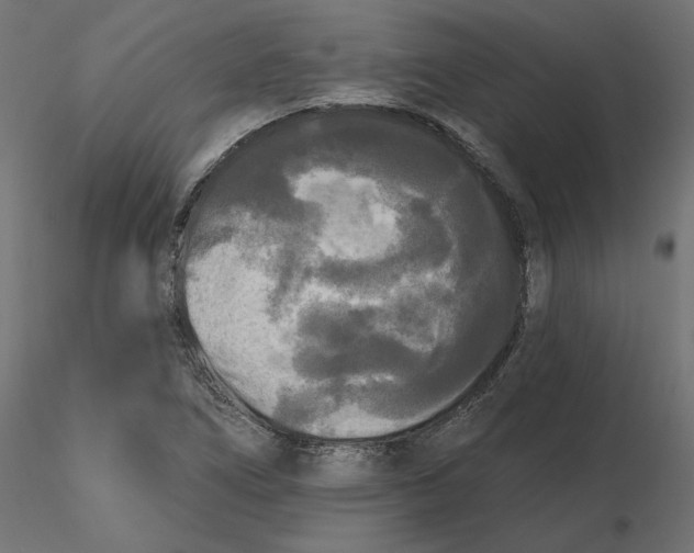 X0000116571266200912311946