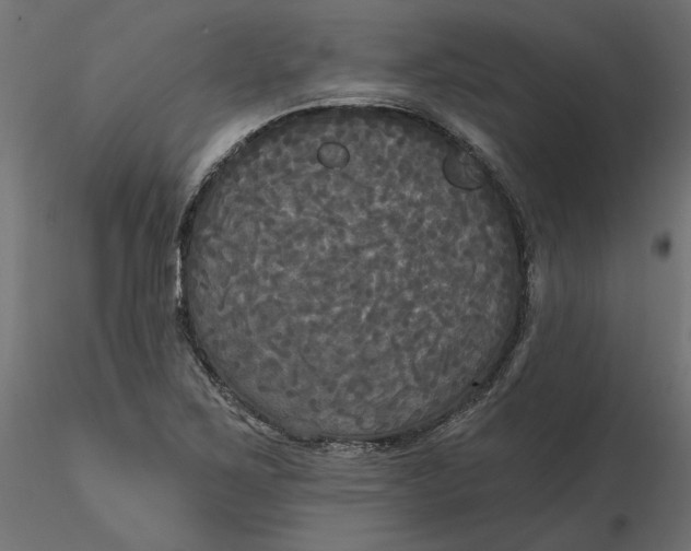 X0000116571267200912311946