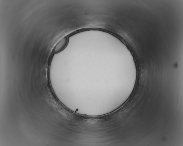 X0000116571268200912311946