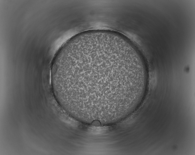 X0000116571269200912311946