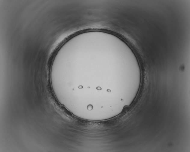 X0000116571270200912311946